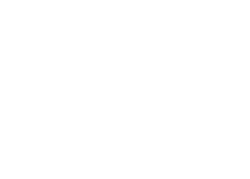 Blogging & Content Writing