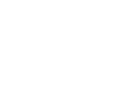 Branding & Visual Identity